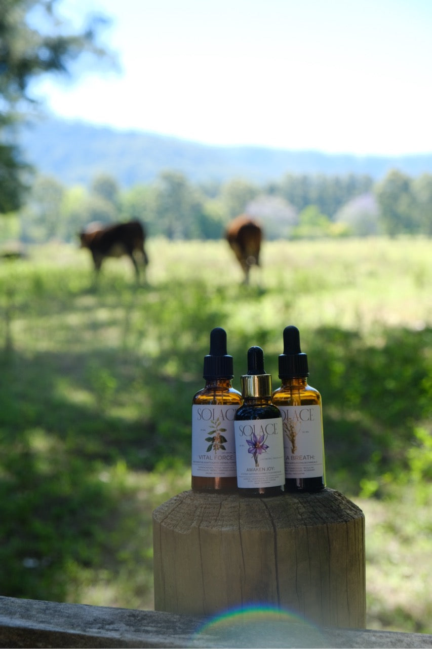 The Nervous System Trio