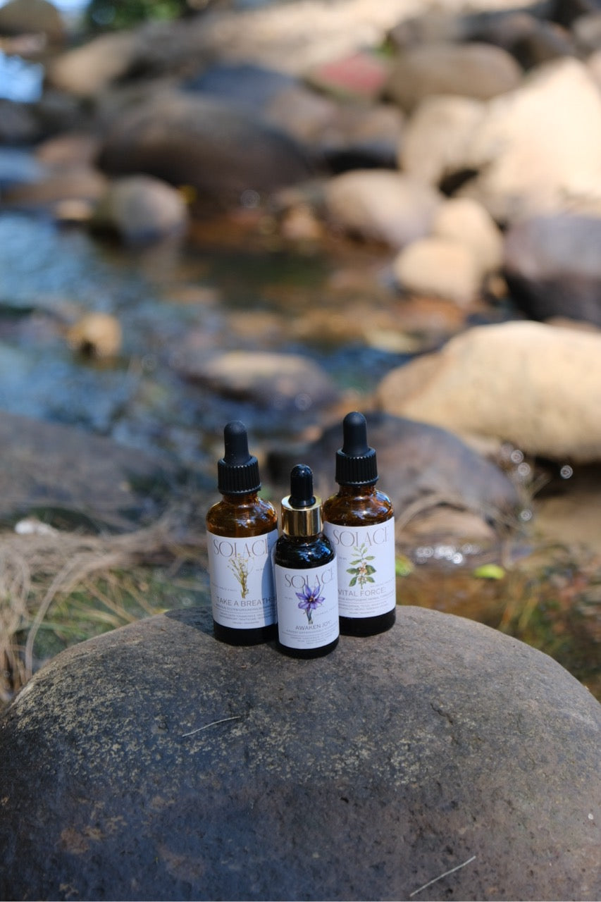 The Nervous System Trio