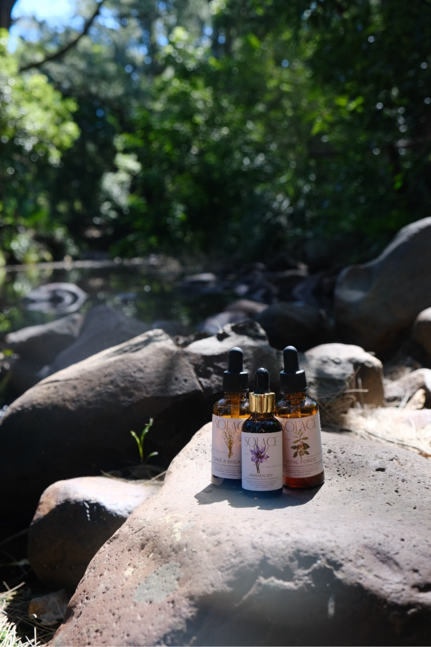 The Nervous System Trio