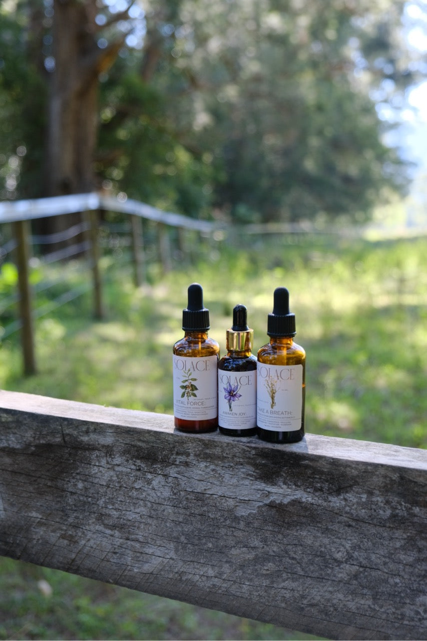 The Nervous System Trio